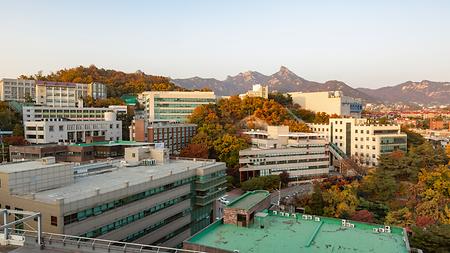 2021년 서울캠퍼스의 가을 