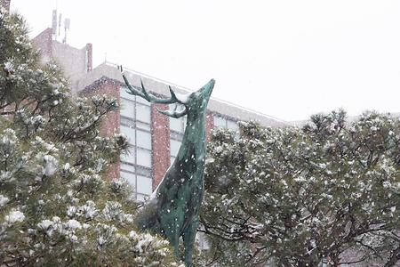 2022년 서울캠퍼스 겨울 전경 